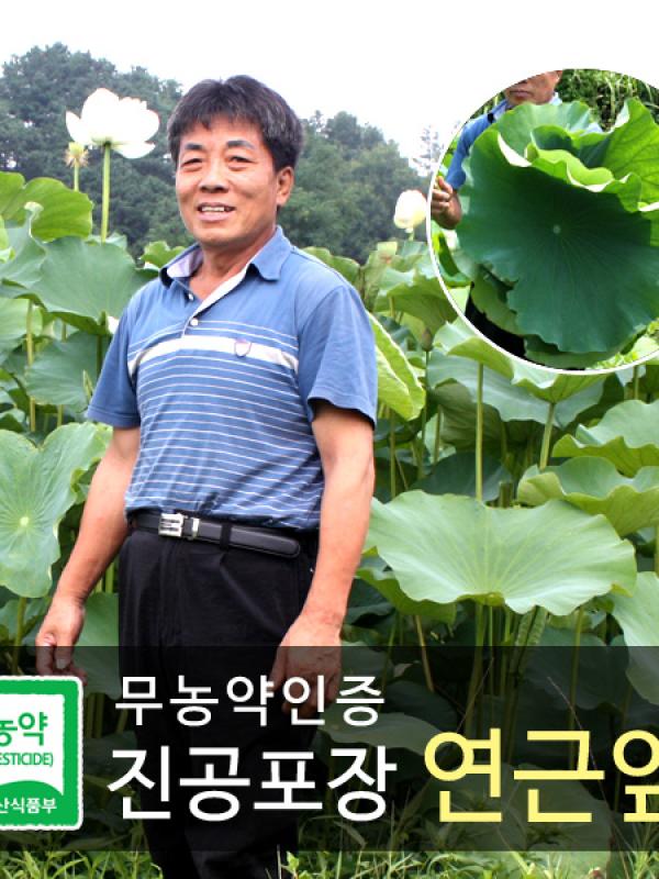 무농약 연잎우산 연근잎 진공포장 1kg
